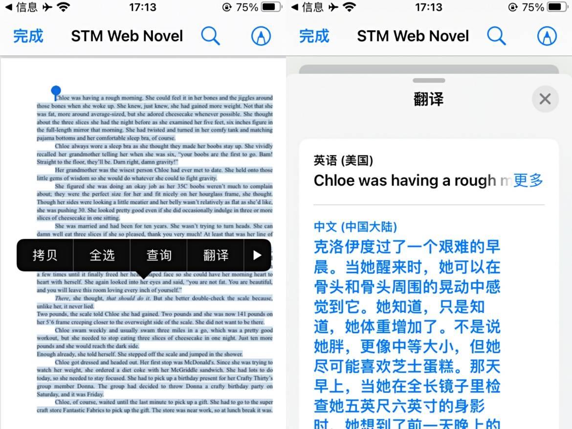 有道文献翻译实测：专业期刊翻译效果