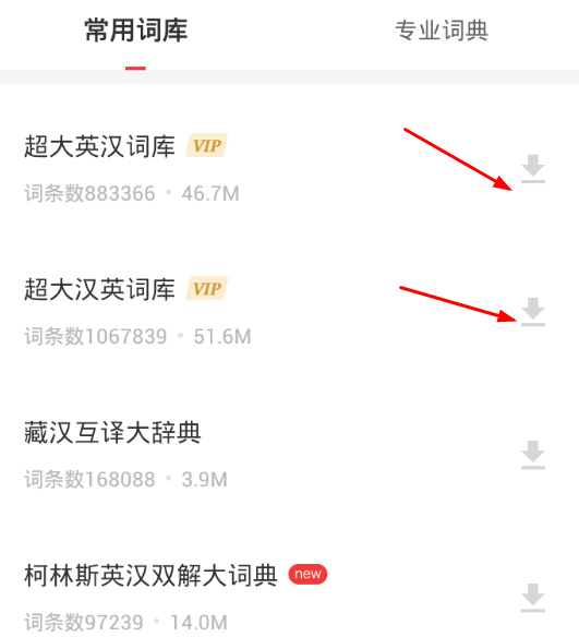 怎么使用有道离线翻译？