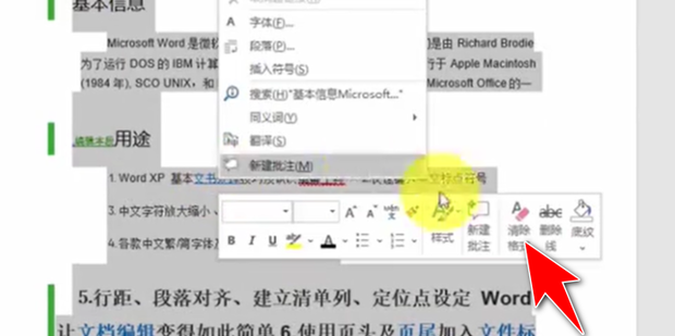 Word中复制有道翻译后出现阴影?四种方法彻底清除灰色背景