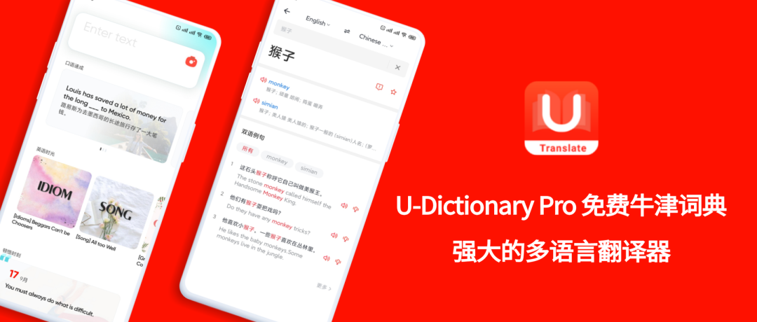 如何让有道词典翻译更准确？解锁专业技巧与高级功能