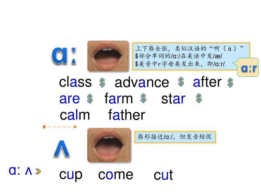 West怎么读？有道翻译教你标准发音与商务含义