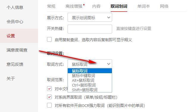 有道词典翻译设置终极指南：从入门到精通
