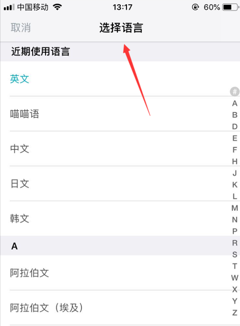 手机上有道翻译怎么导出？