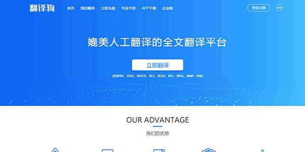 掌握有道翻译整篇文章的全面技巧:从文档到网页的全攻略